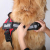 Personalisiertes Atmungsaktives Hundegeschirr (KOSTENLOSER VERSAND) - wunderfriend